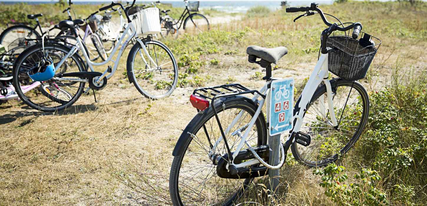 Køb cykelkort hos VisitKøge