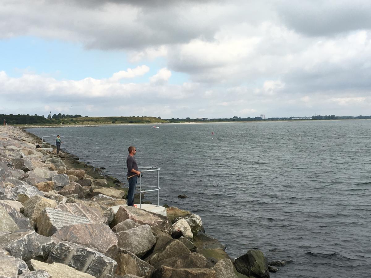 Fiskere på Køge Marina