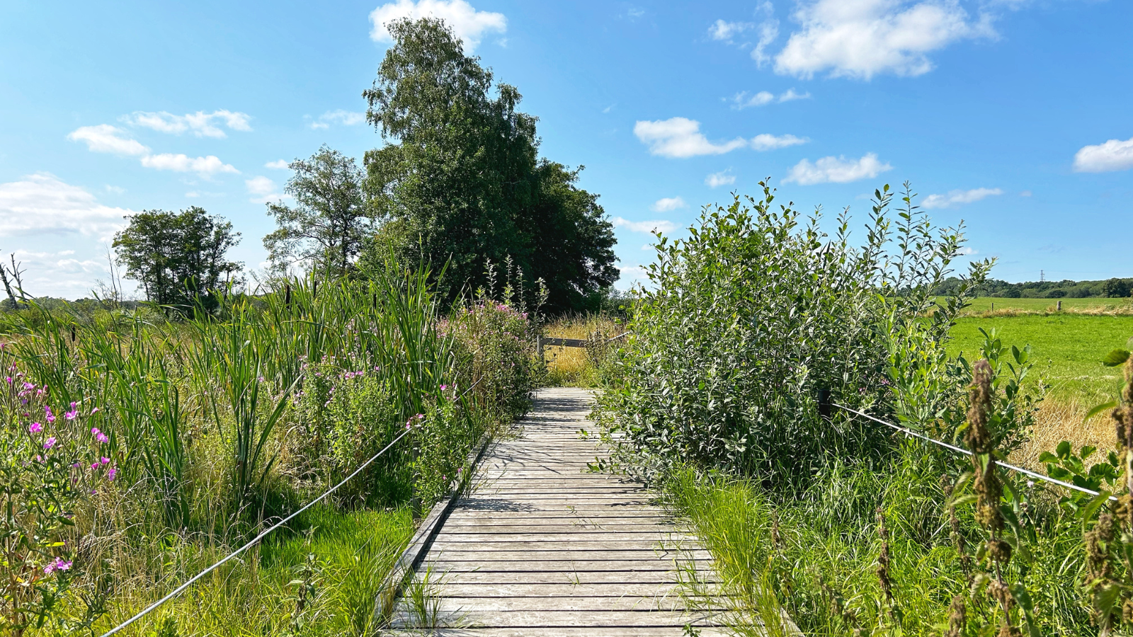 Boardwalk Ejby Mose