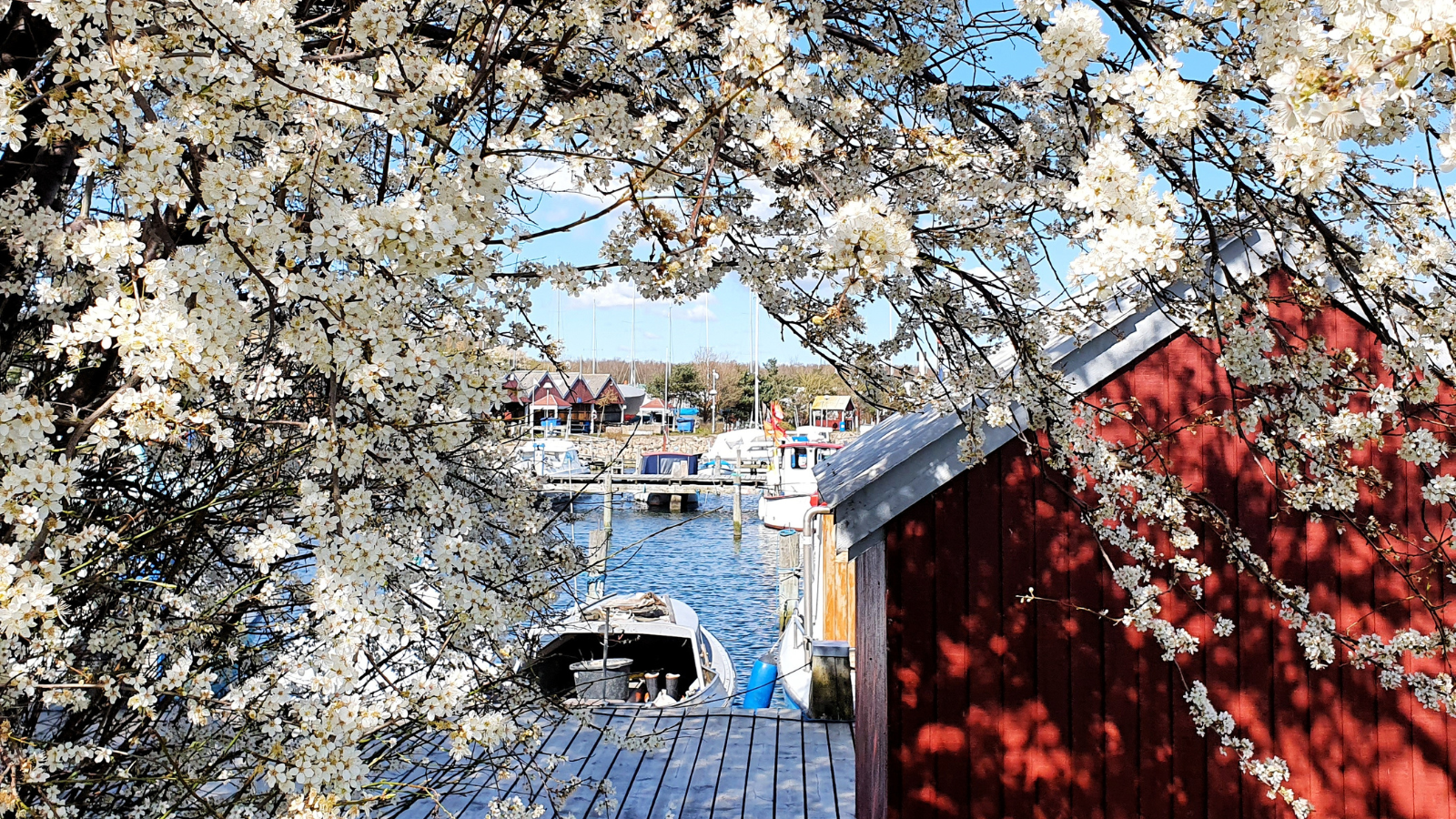 Forår i Køge