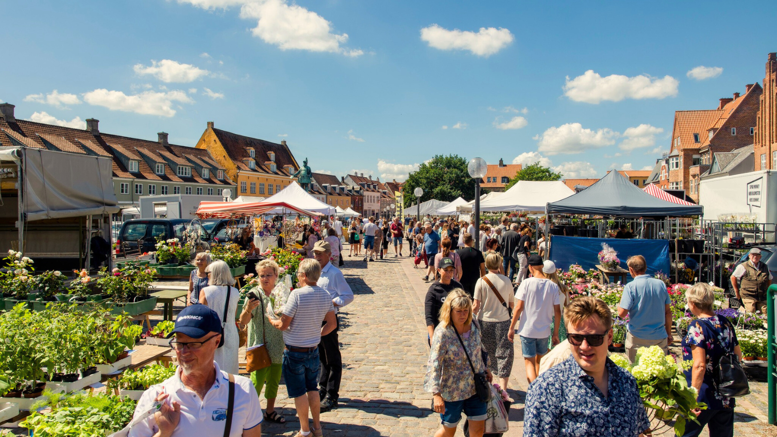 Torvedag sommer