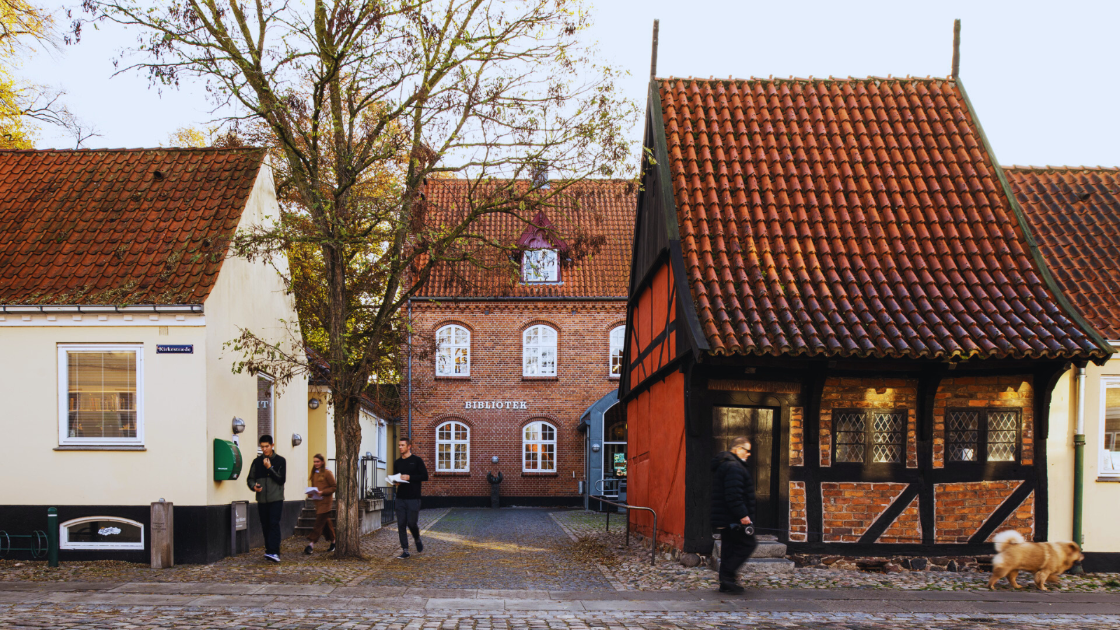 Køge Bibliotek