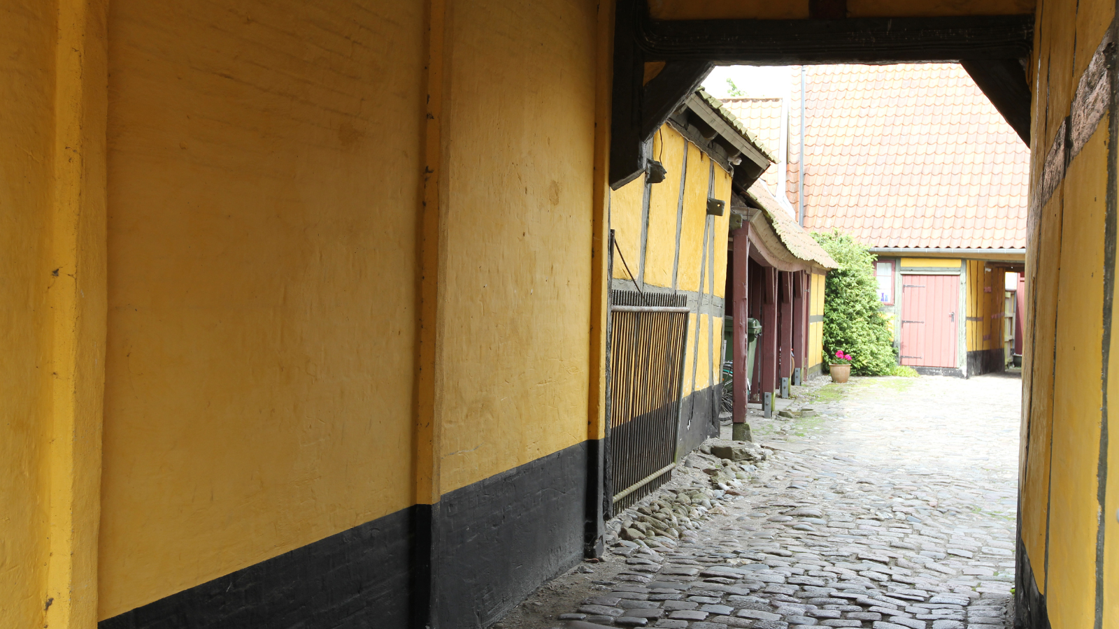 Baggård i Køge