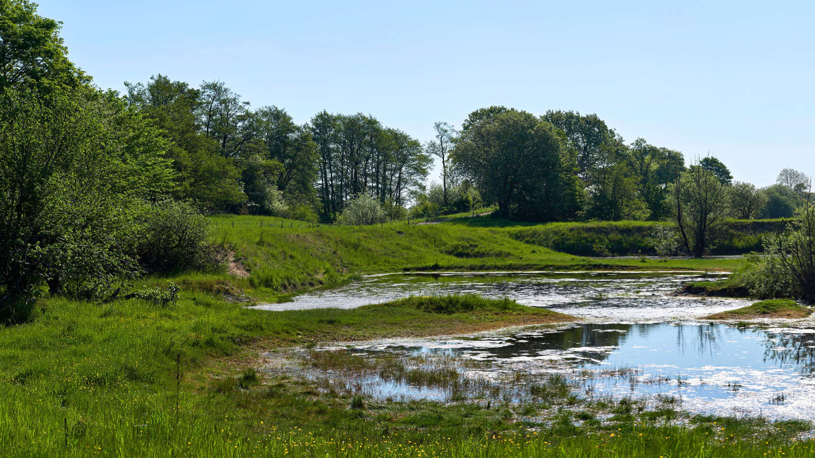 Sti - Køge Å-Regnemarks Bakke