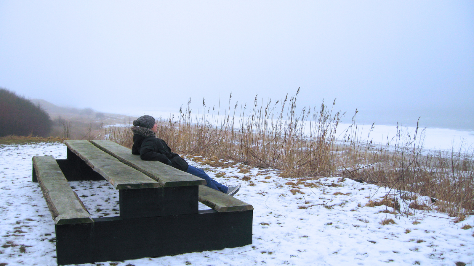 Tangmose - Køge Marina