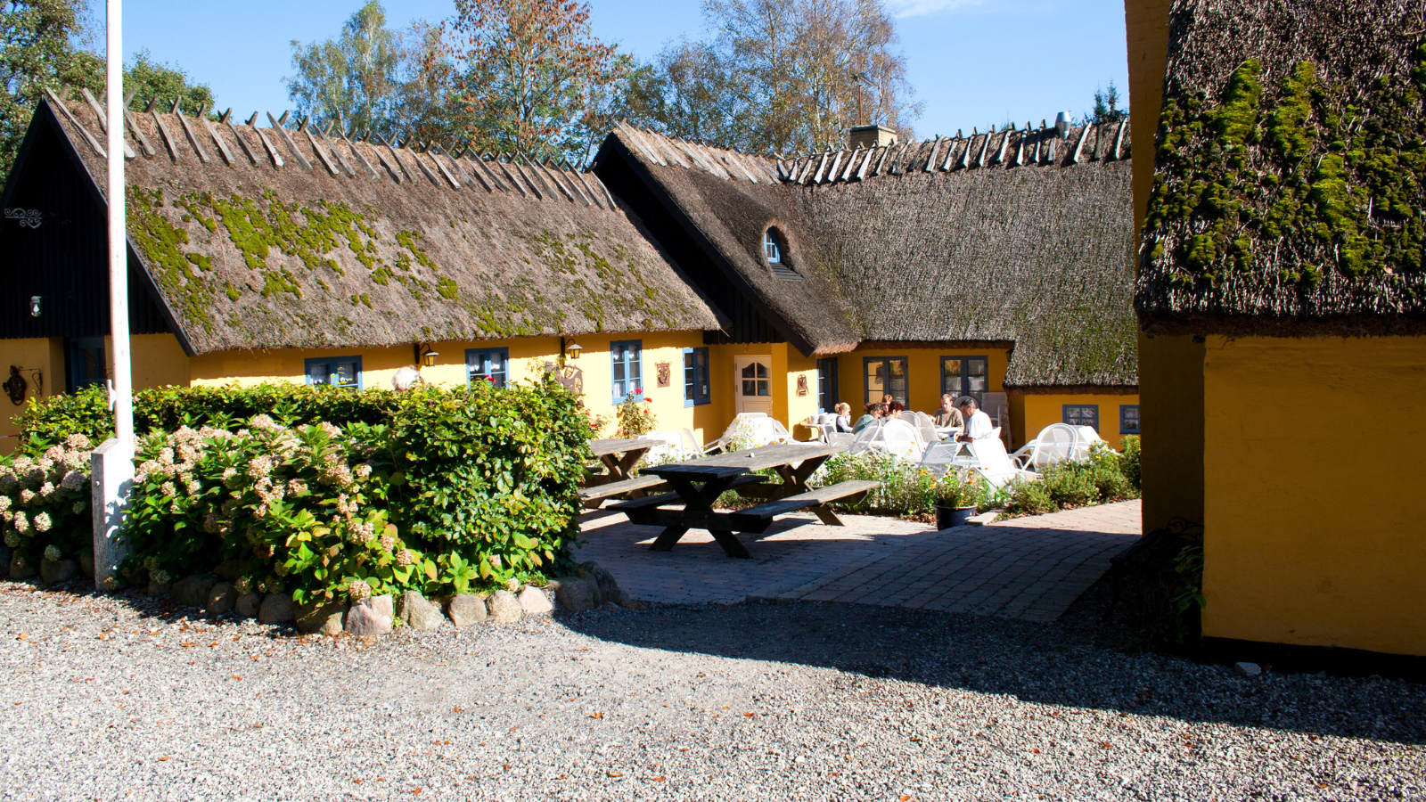 Malerklemmen i solskin
