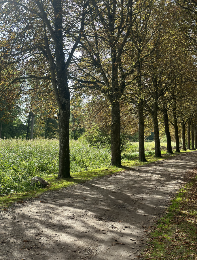 Åsvandring i Køge